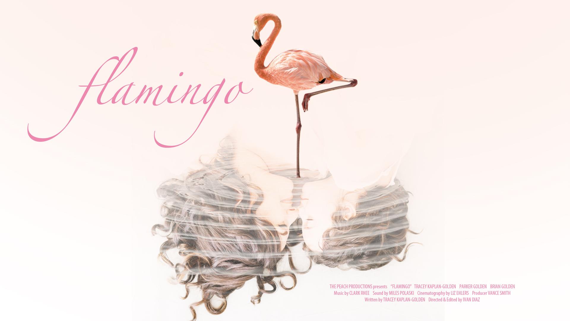 Flamingo Flamingo