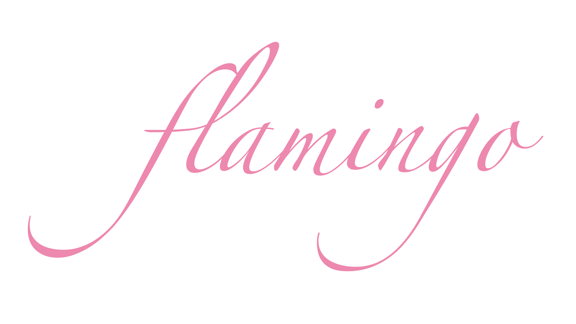 Flamingo Flamingo