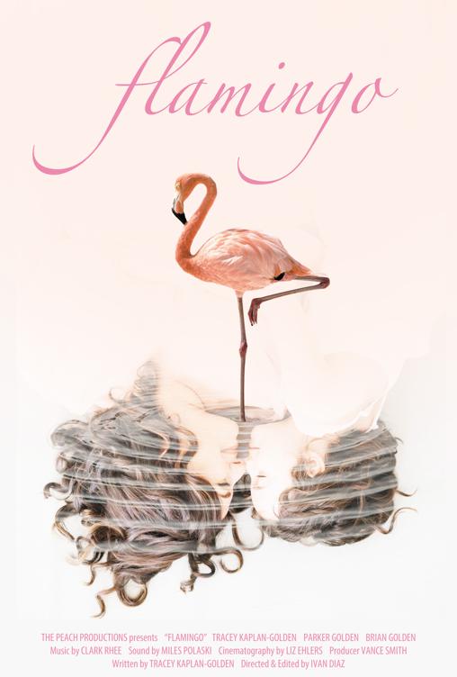 Flamingo Flamingo