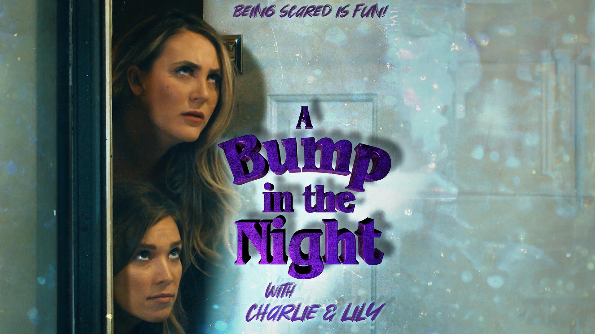 Bump in the Night 