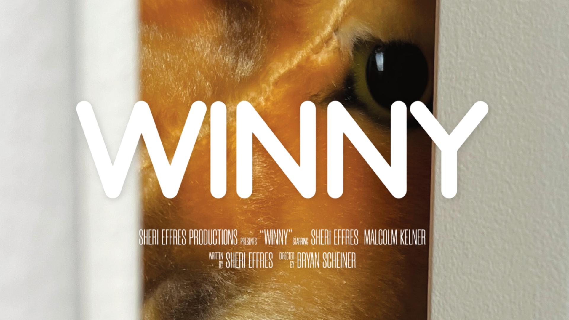 WINNY WINNY